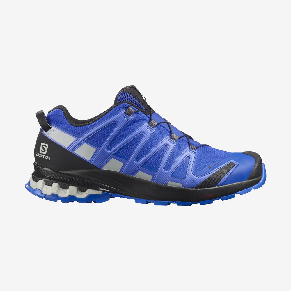 Zapatillas Trail Running Salomon Hombre Azules - Salomon Argentina XA PRO 3D V8 GORE-TEX,280465-WIB